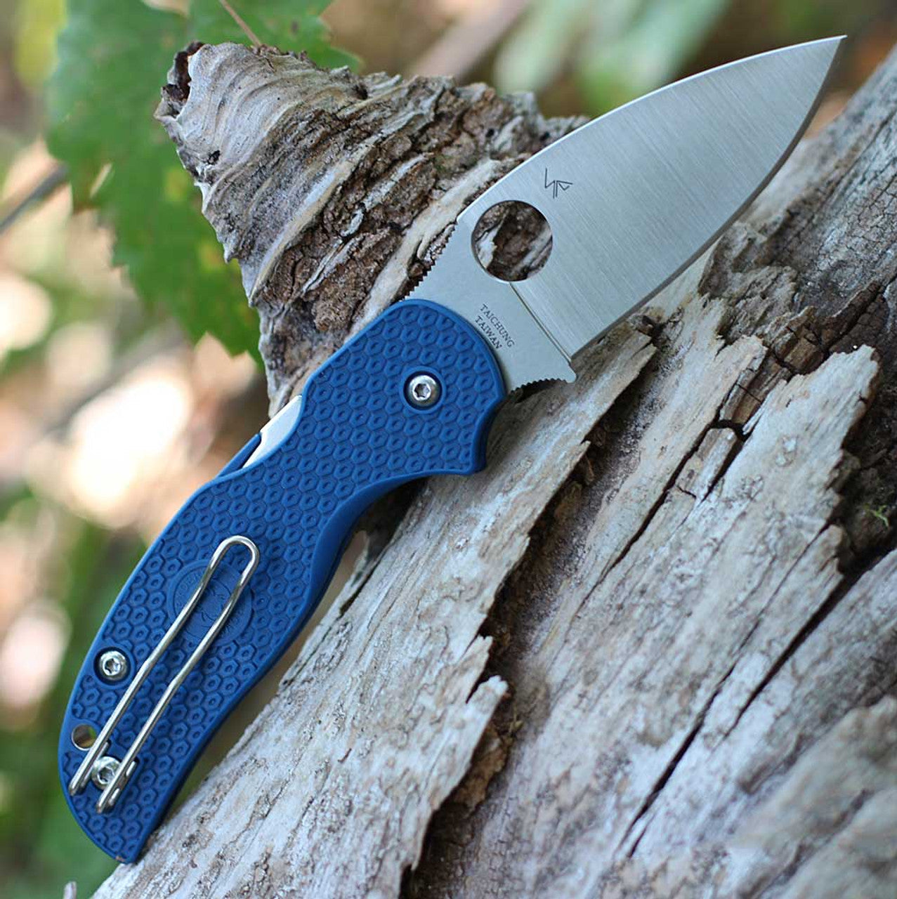 Spyderco Sage 5