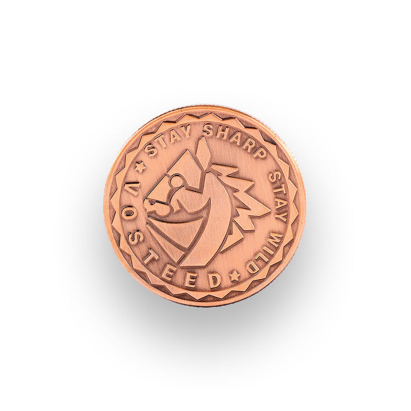 Vosteed Raccoon Coin