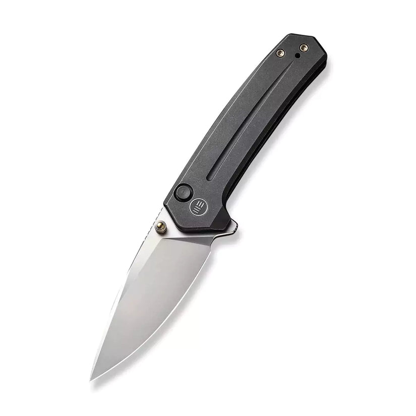 WE Knife Culex WE21026B-3 - CPM-20CV Silver Bead Blasted, Black Titanium Handle